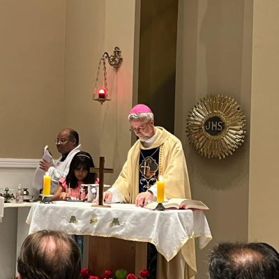 c6ef1489-6f54-48a0-8004-d6b534021c8f